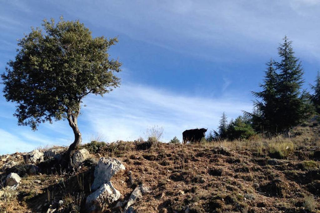 Telecabina Las Catifas Guejar Sierra Exterior photo
